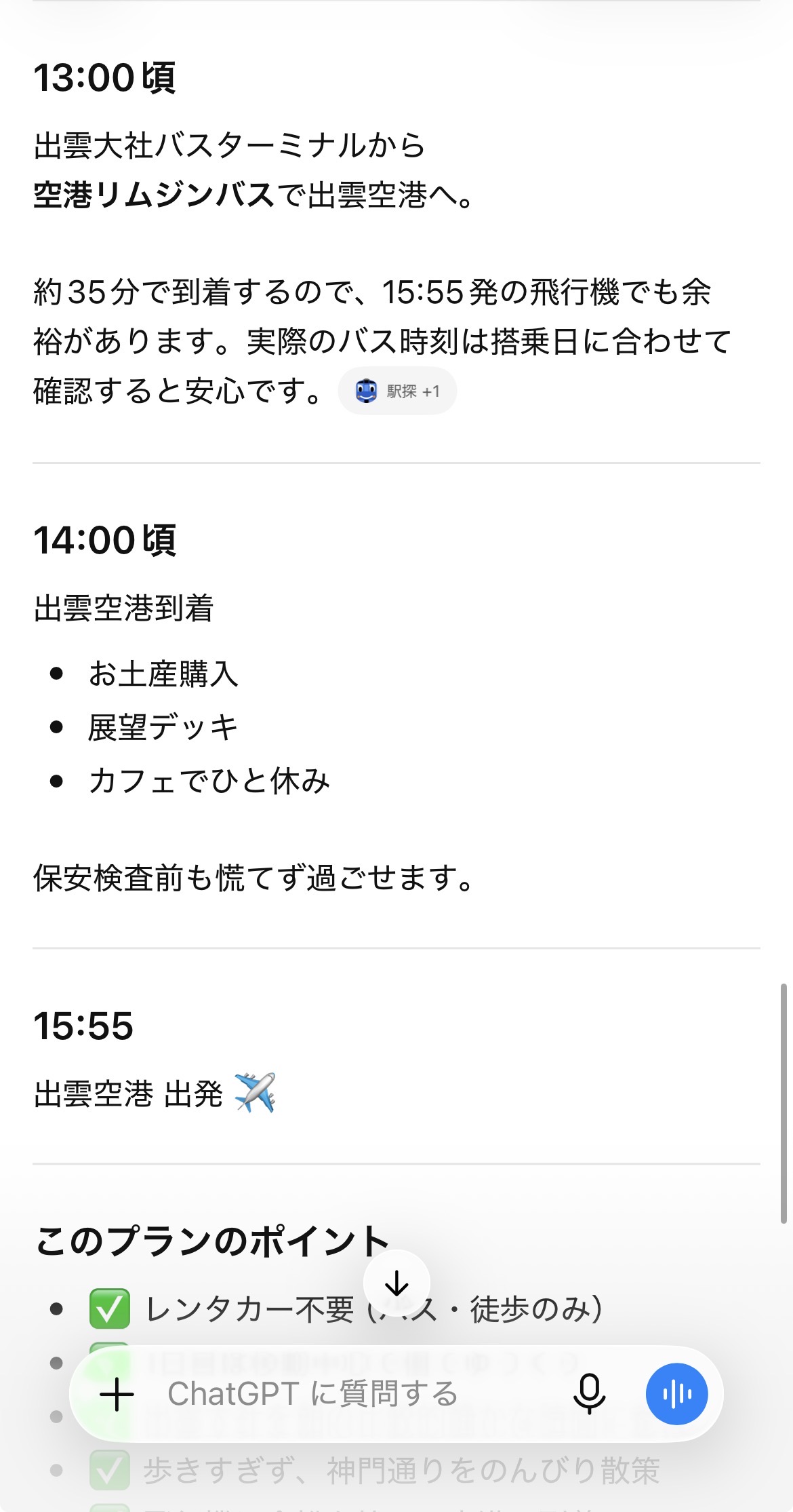 ChatGPTが提案した帰りのプラン。13時頃にバスで空港へ向かい、14時に到着、15時55分発の飛行機に余裕を持って間に合う流れ